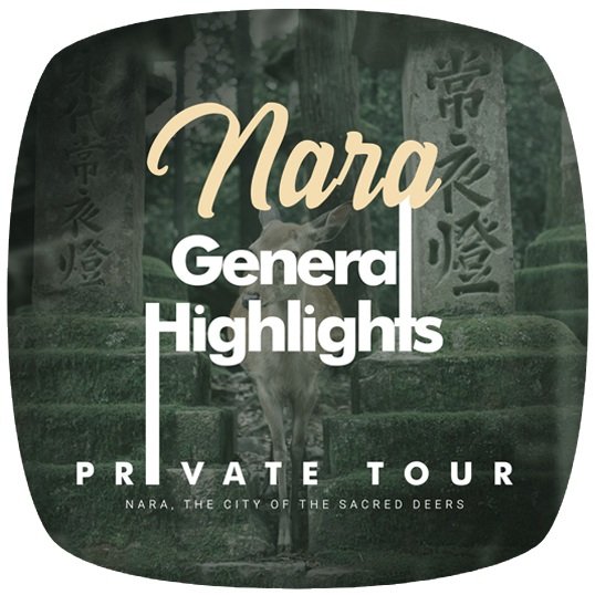 Nara General Highlights Private Tour (Half-Day)