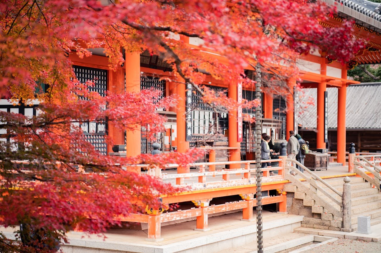 fall-tour-tokyo-shrine.jpg