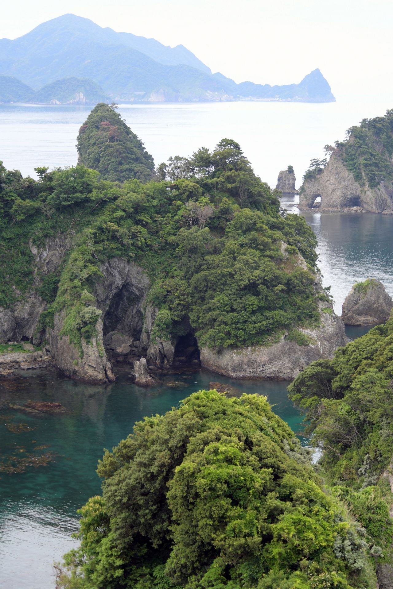shimizu-private-japan-tour-hills.jpg