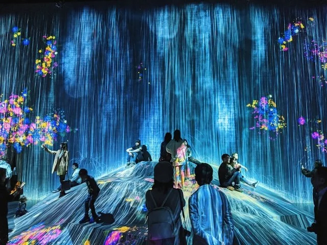 private-japan-tours-tokyo-tech-tour-teamlab-borderless.jpg