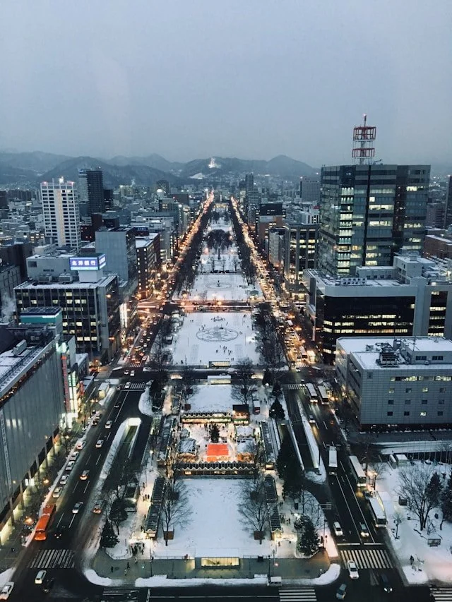 private-japan-tours-sapporo-tour-aerial-view.jpg