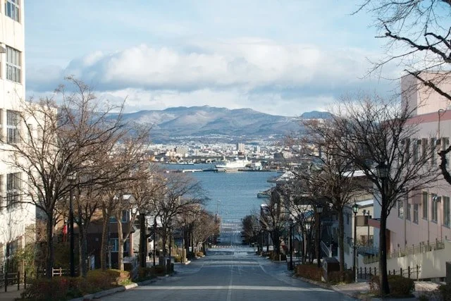 hakodate-private-japan-tour-view.jpg