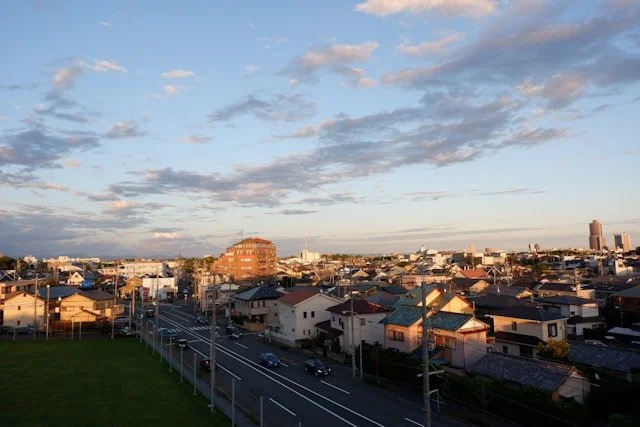 shimizu-private-japan-tour-city-view.jpg