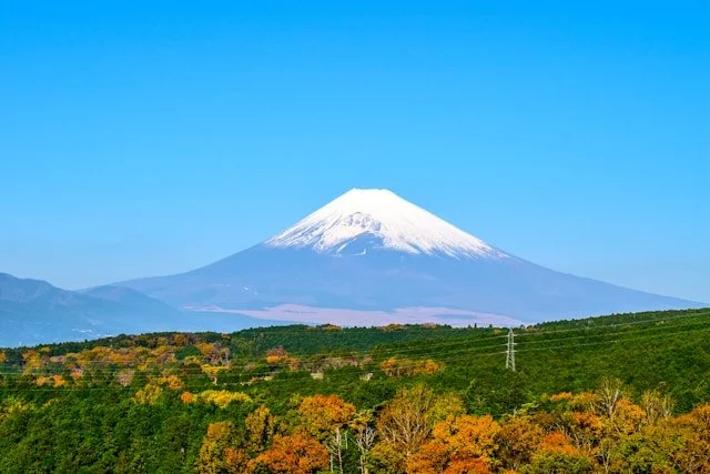 shimizu-private-japan-tour-fuji-view-2.jpg