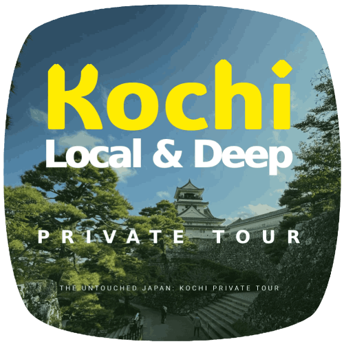 kochi-local-and-deep-private-tour.png