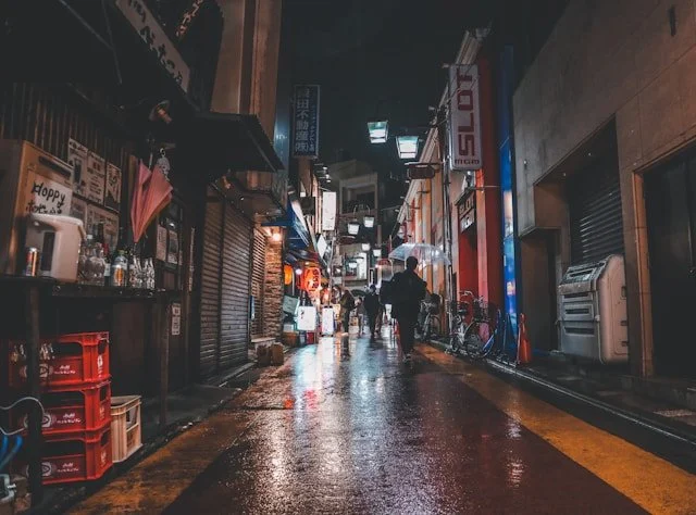 private-japan-tours-tokyo-after-dark-alley.jpg