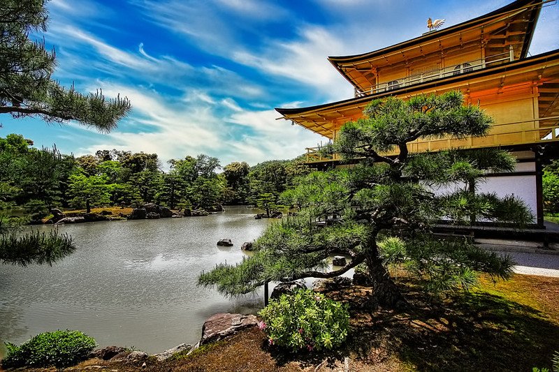 The Golden Pavilion (Kinkaku-ji) gleaming in the sunlight, with its gold-leafed structure beautifully mirrored in the calm waters, framed by vibrant greenery and traditional Japanese landscaping.