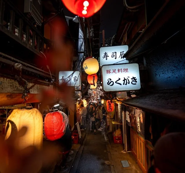 private-japan-tours-tokyo-tour-omoide-yokocho-3.jpg
