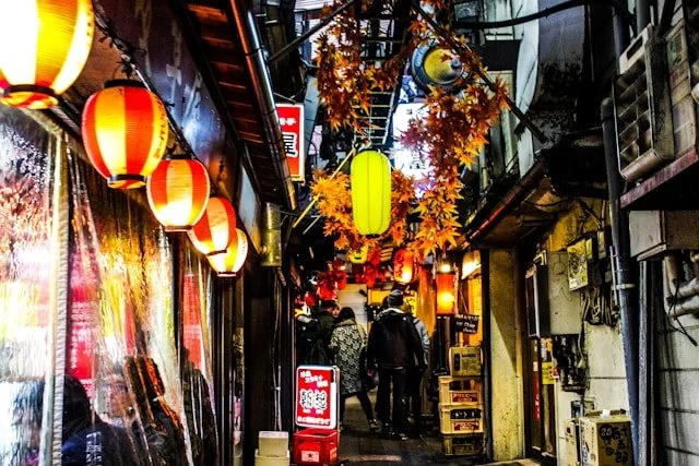 private-japan-tours-tokyo-tour-omoide-yokocho-2.jpg