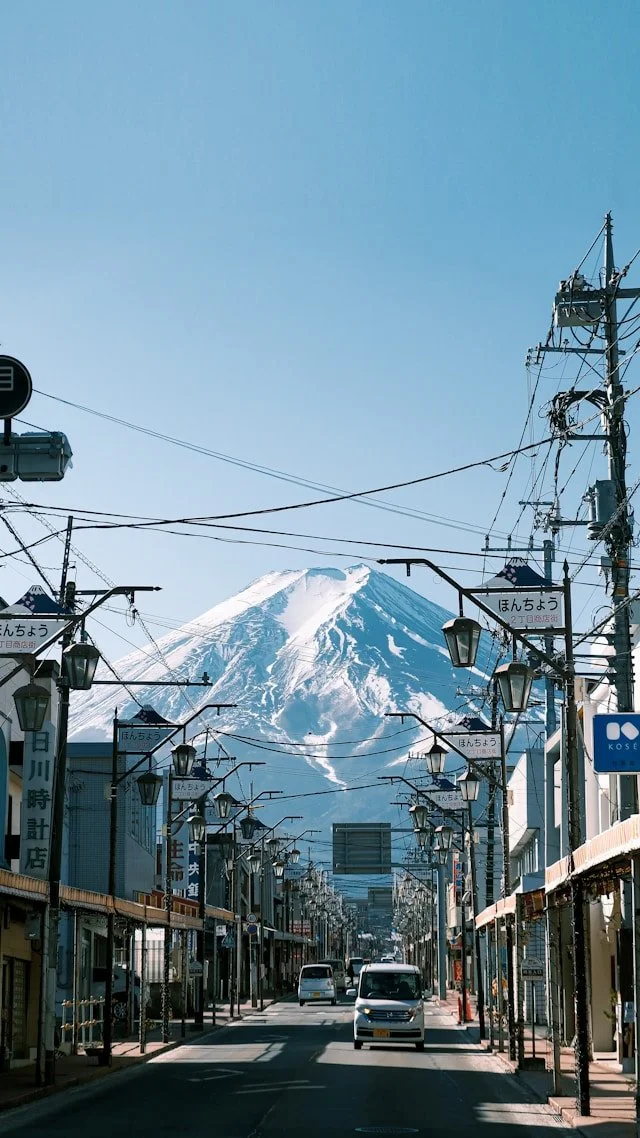 shimizu-private-japan-tour-fuji-view-from-town.jpg