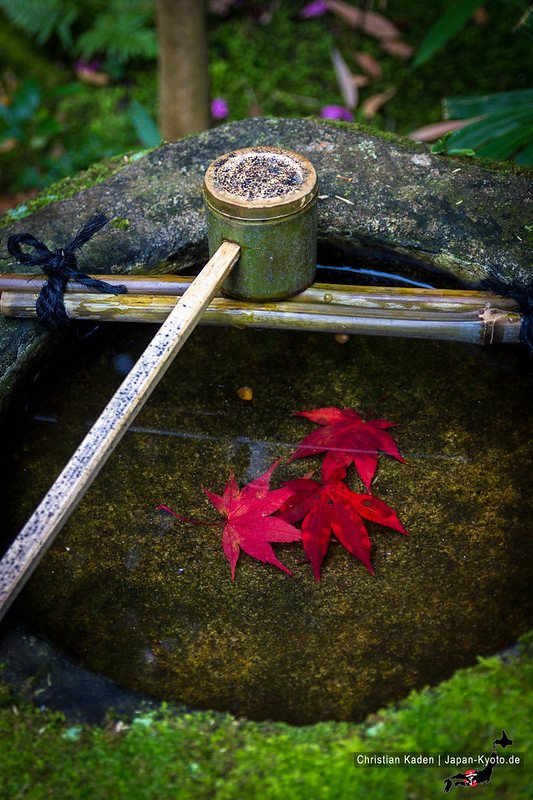 A bamboo ladle used in Japanese temples and gardens, traditionally designed with a long handle and a smooth bowl, often for rituals like water purification or for drinking tea.