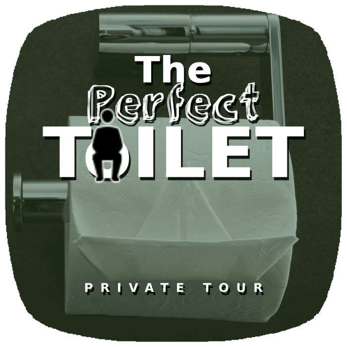 The Perfect Toilet —Private Tokyo Tour