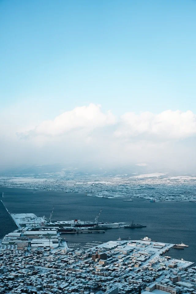 hakodate-private-japan-tour-plane-view.jpg