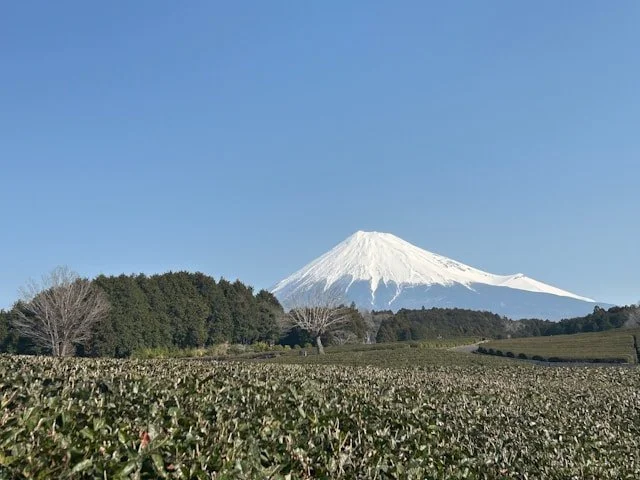 shimizu-private-japan-tour-fuji-view.jpg