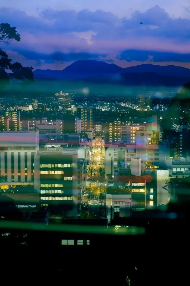 kagoshima-general-highlights-private-tour-city.jpg