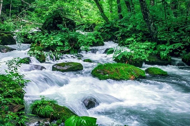 aomori-private-japan-tour-natural.jpg