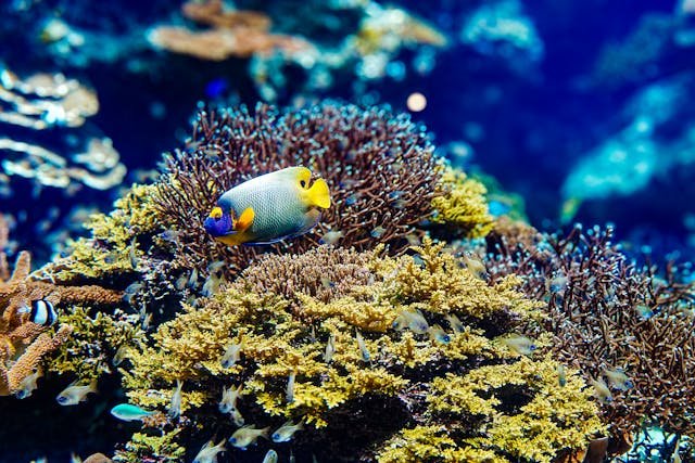 okinawa-private-tours.jpg