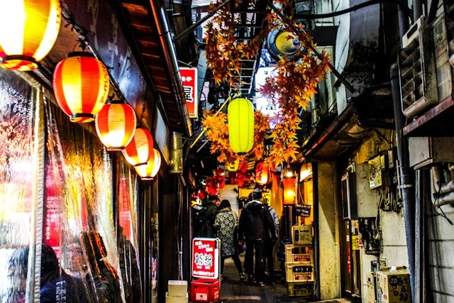 private-japan-tours-tokyo-tour-omoide-yokocho-2.jpg