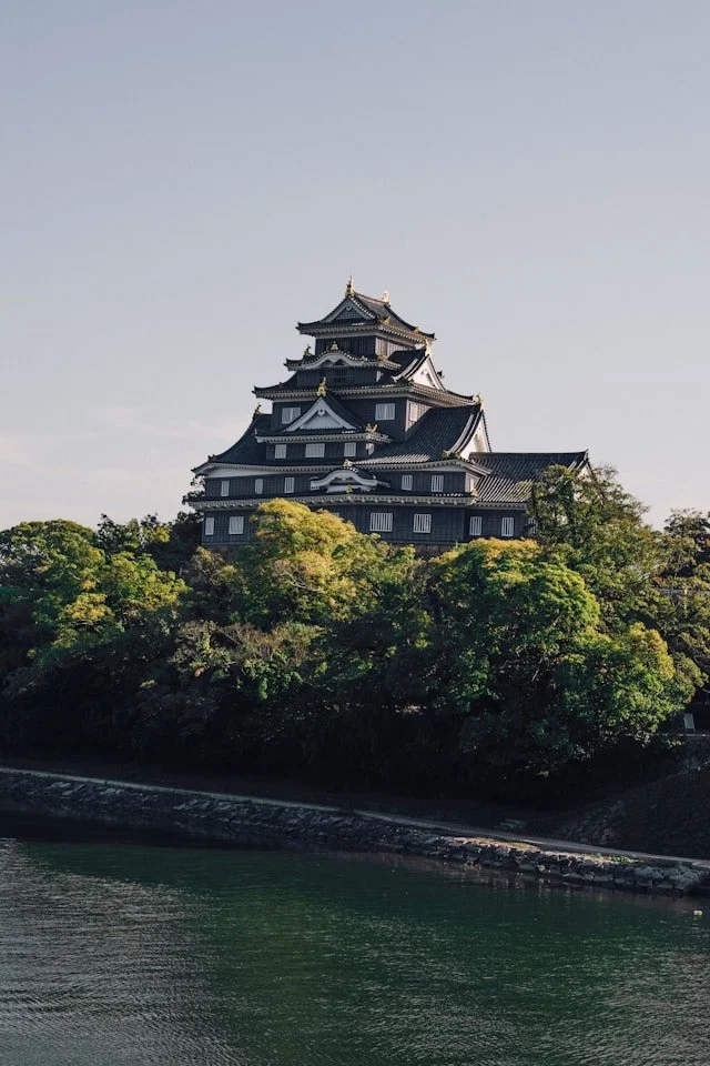 private-okayama-and-kurashiki-tour-castle.jpg