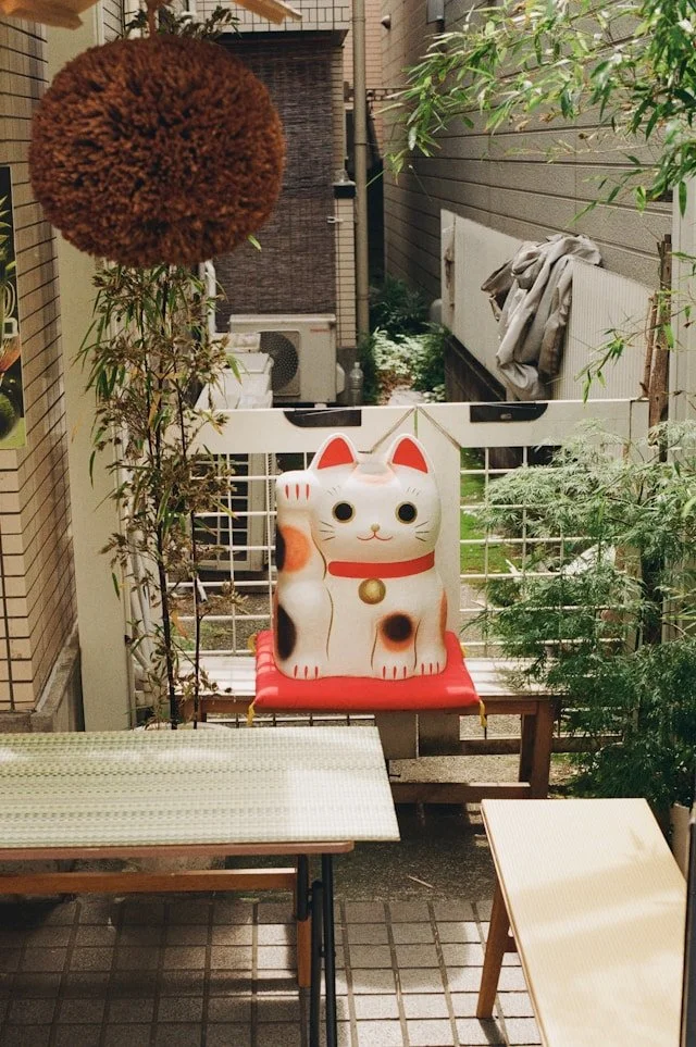 private-japan-tours-weird-tour-dog-cafe.jpg