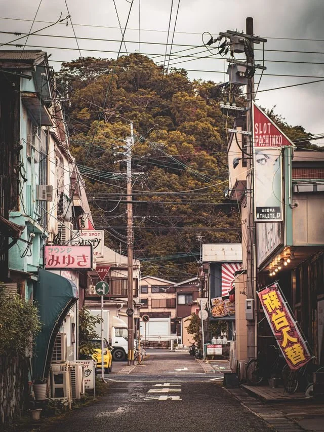 kagoshima-general-highlights-private-tour-local.jpg