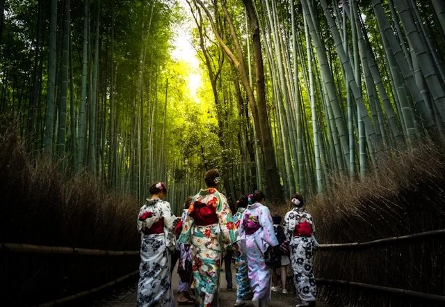 private-japan-tours-kyoto-tour-arashiyama.jpg