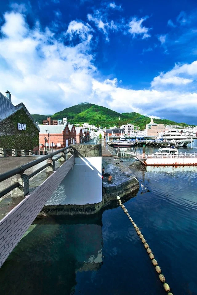 hakodate-private-japan-tour-city.jpg