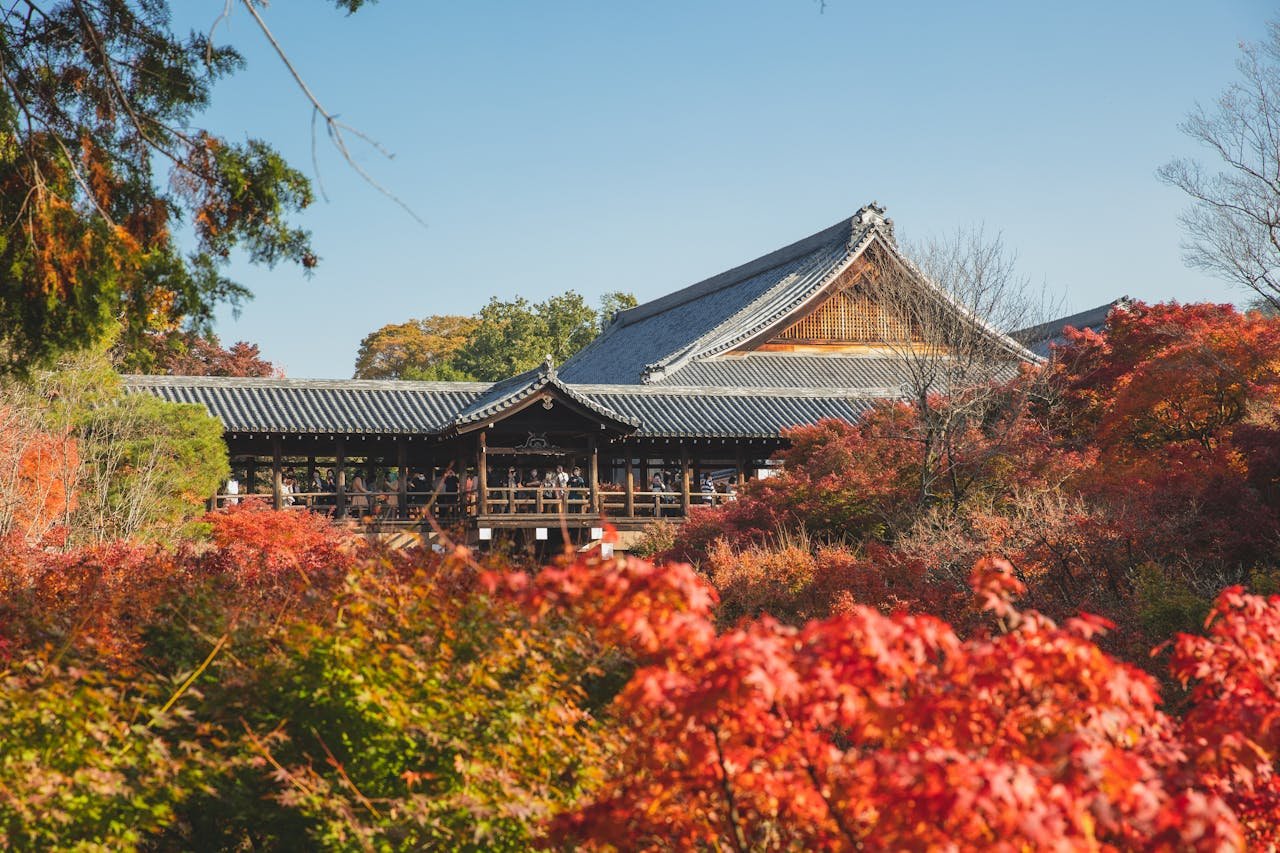 autumn-kyoto-tour-tofukuji-temple.jpg