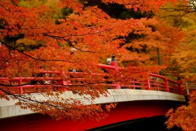 aomori-private-japan-tour-automn.jpg