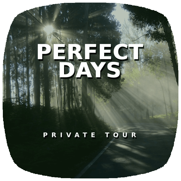 Perfect Days —Private Tokyo Tour