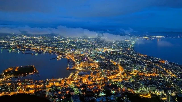 hakodate-private-japan-tour-aerial-view.jpg