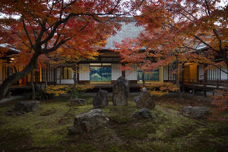 Kenninji Temple in autumn surrounded by vibrant red and orange foliage, creating a serene and picturesque scene.