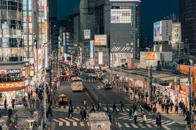 private-japan-tours-tokyo-after-dark-3.jpg