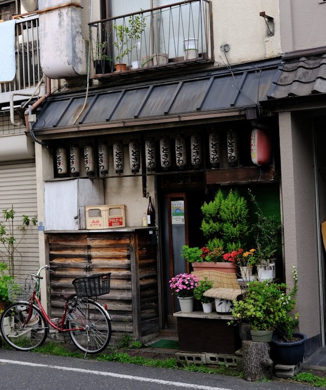 private-japan-tours-tokyo-yanaka-ginza-2.jpg