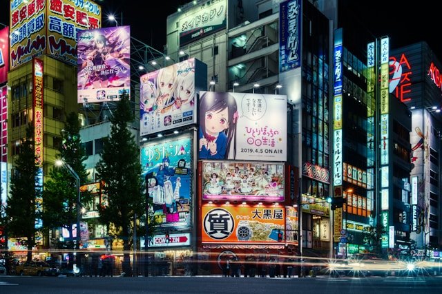 private-japan-tours-tokyo-tech-tour-akihabara-district.jpg
