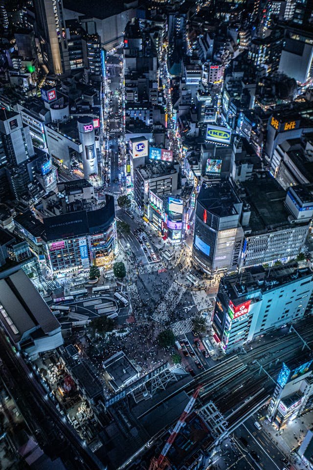 tokyo-general-highlights-tour-aerial-view-private-japan-tours.jpg