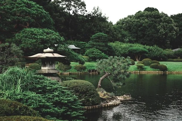 private-japan-tours-tokyo-tour-shinjuku-garden.jpg