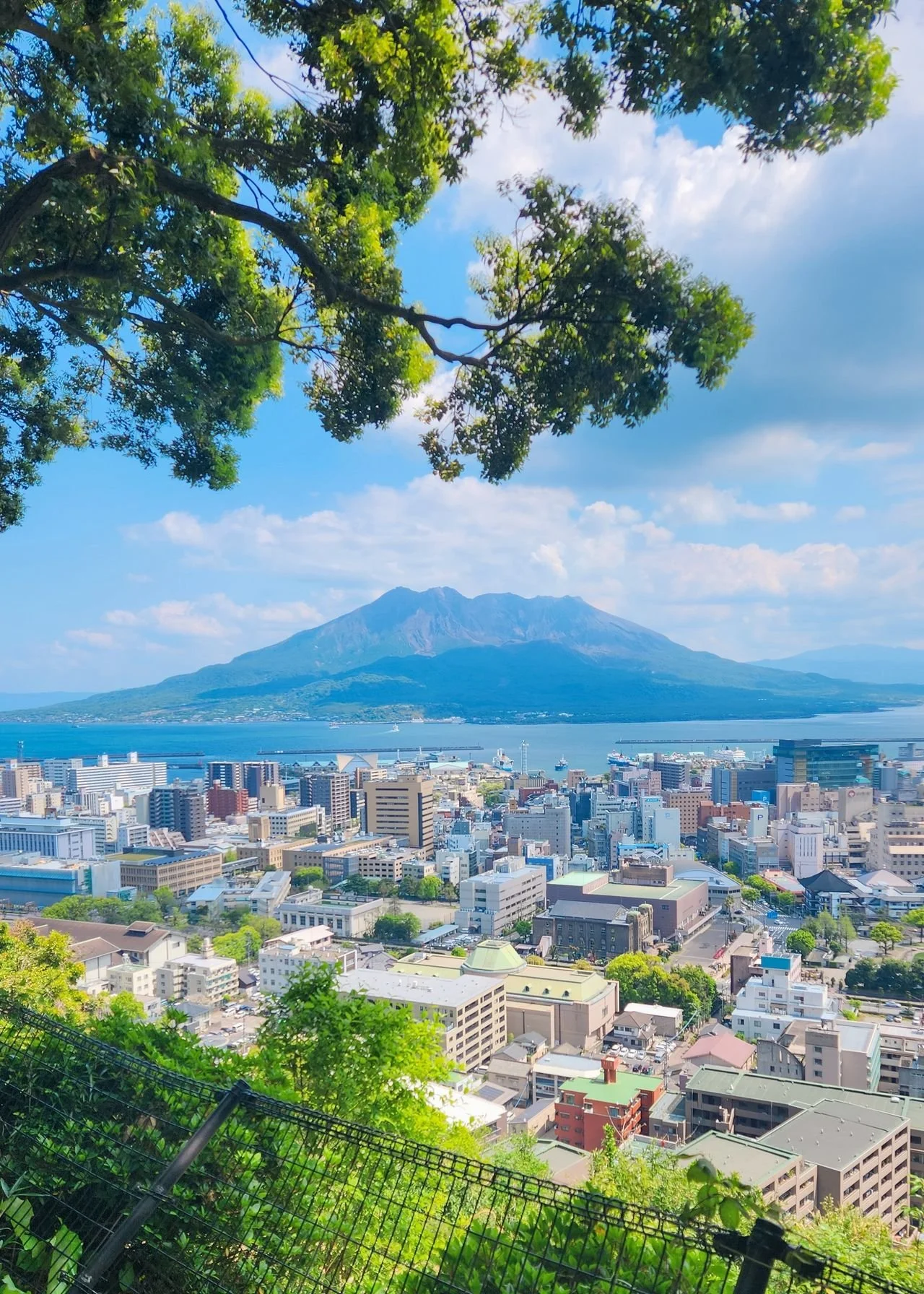 kagoshima-general-highlights-private-tour-city-life.jpg