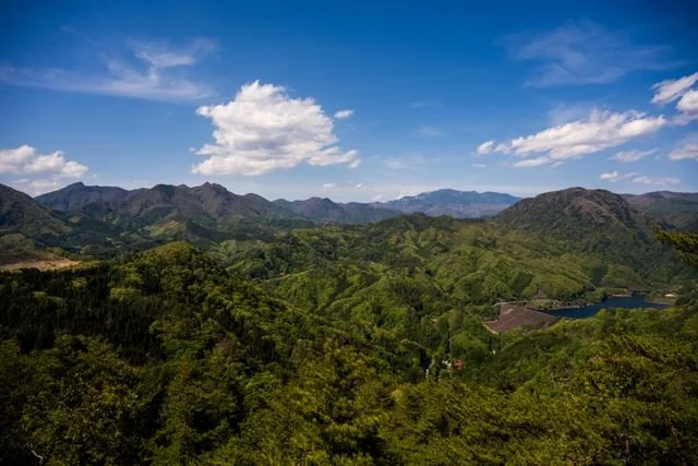 kochi-pivate-tour-natural-scenery.jpg