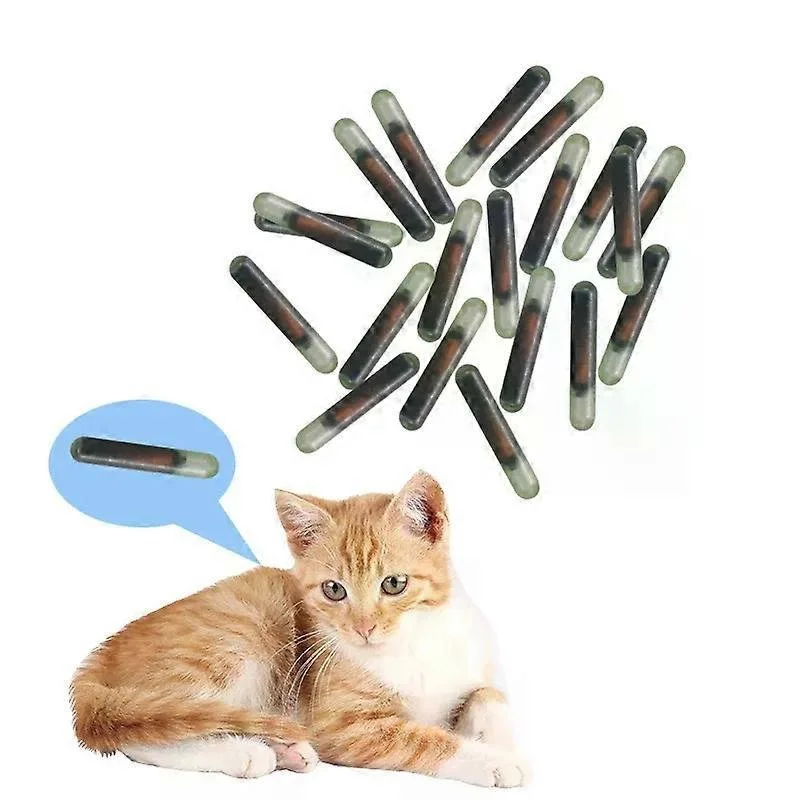 microchip gatto.jpg
