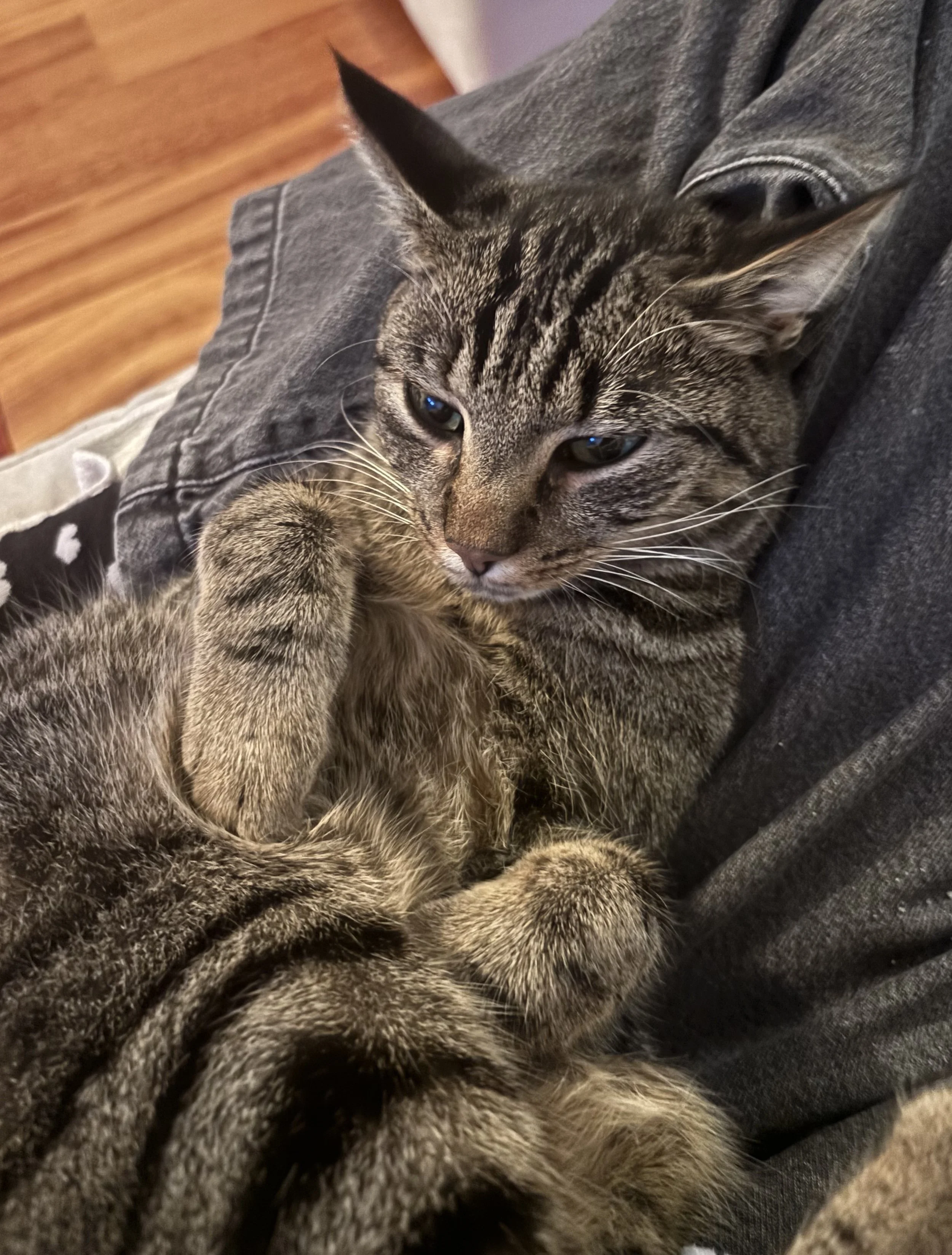 Testimonianza della Famiglia di Perla