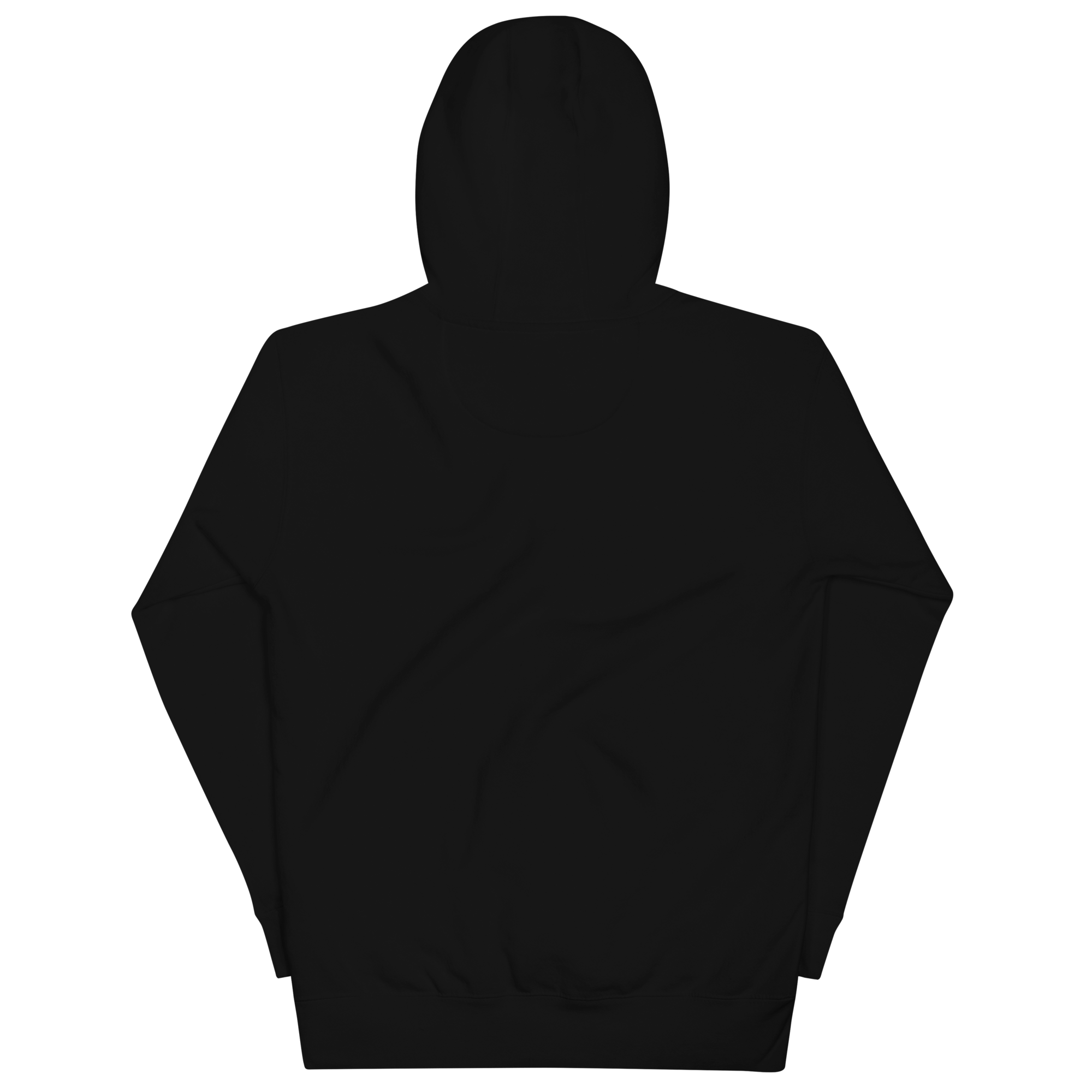 unisex-premium-hoodie-black-back-6898d8ea1f2fd.png