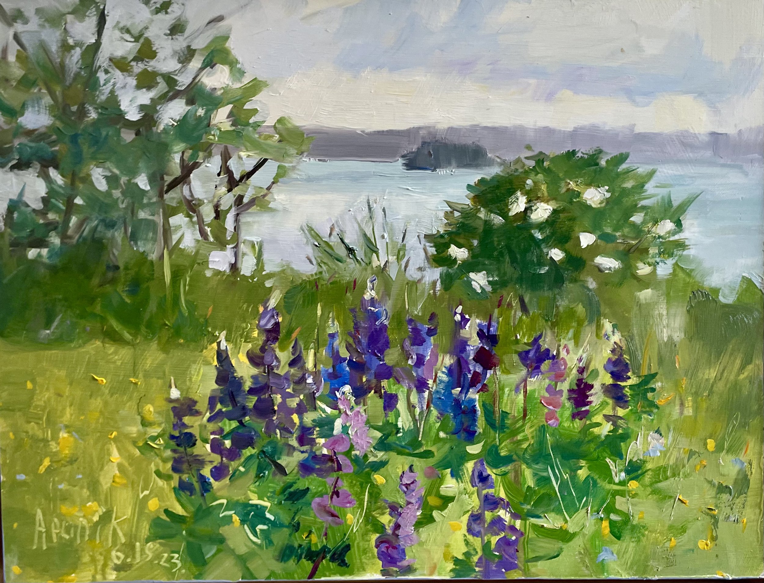 Lupines in the Meadow
