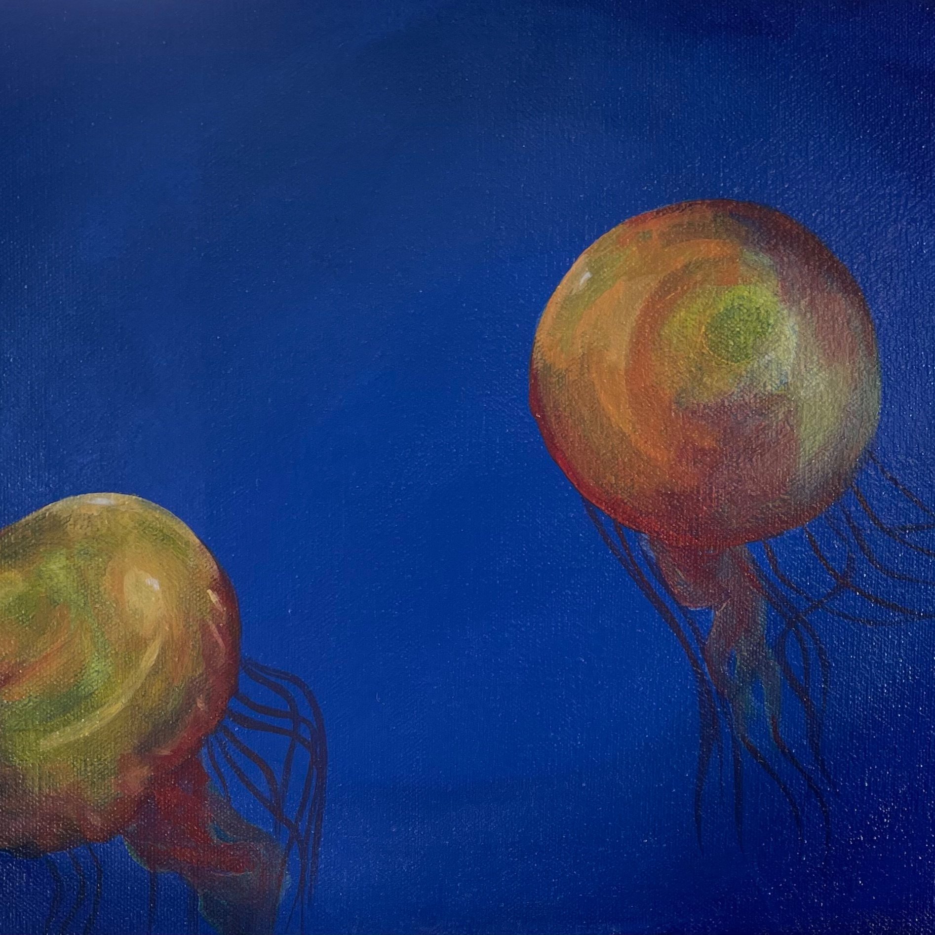 Primary Jellyfish