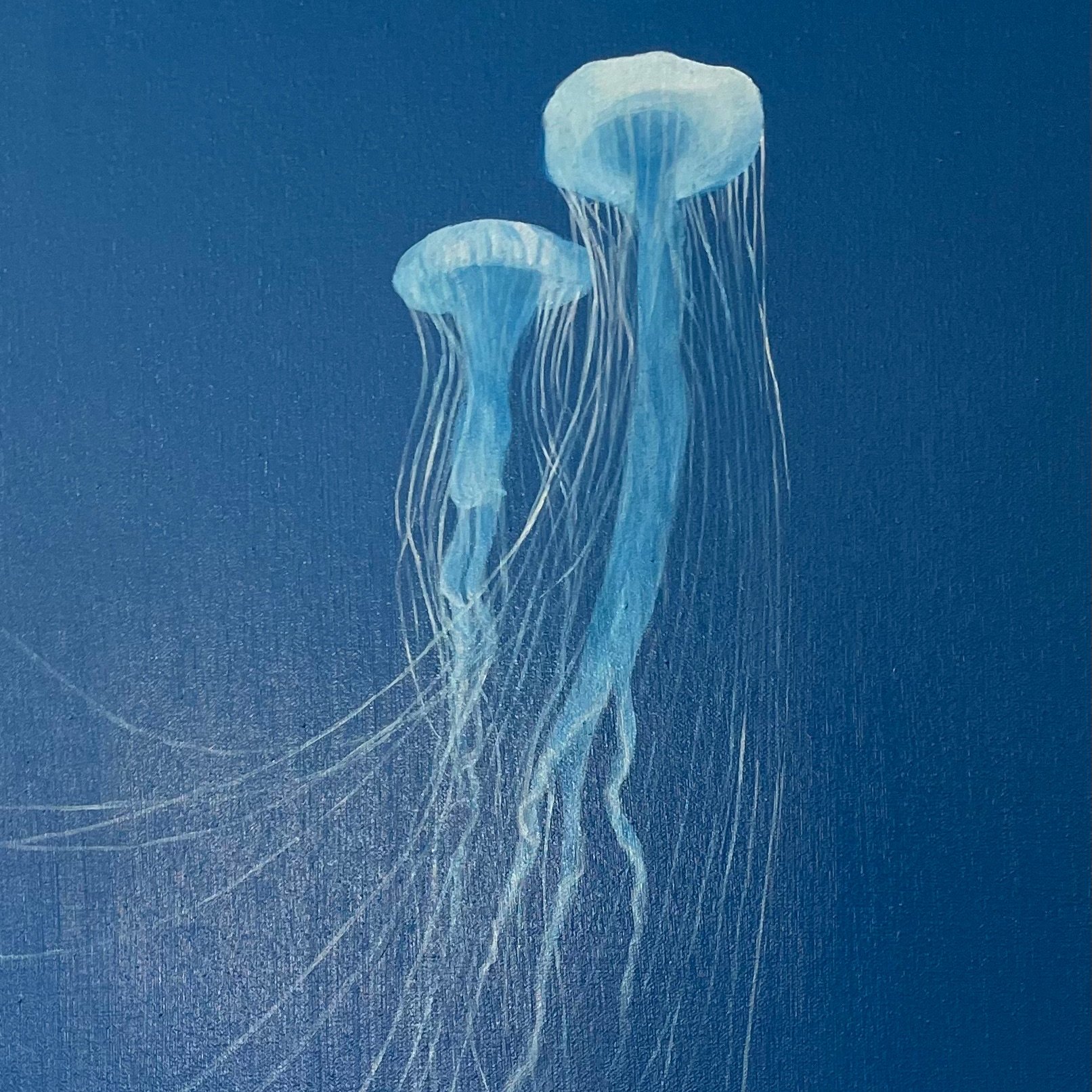 Cerulean Blue