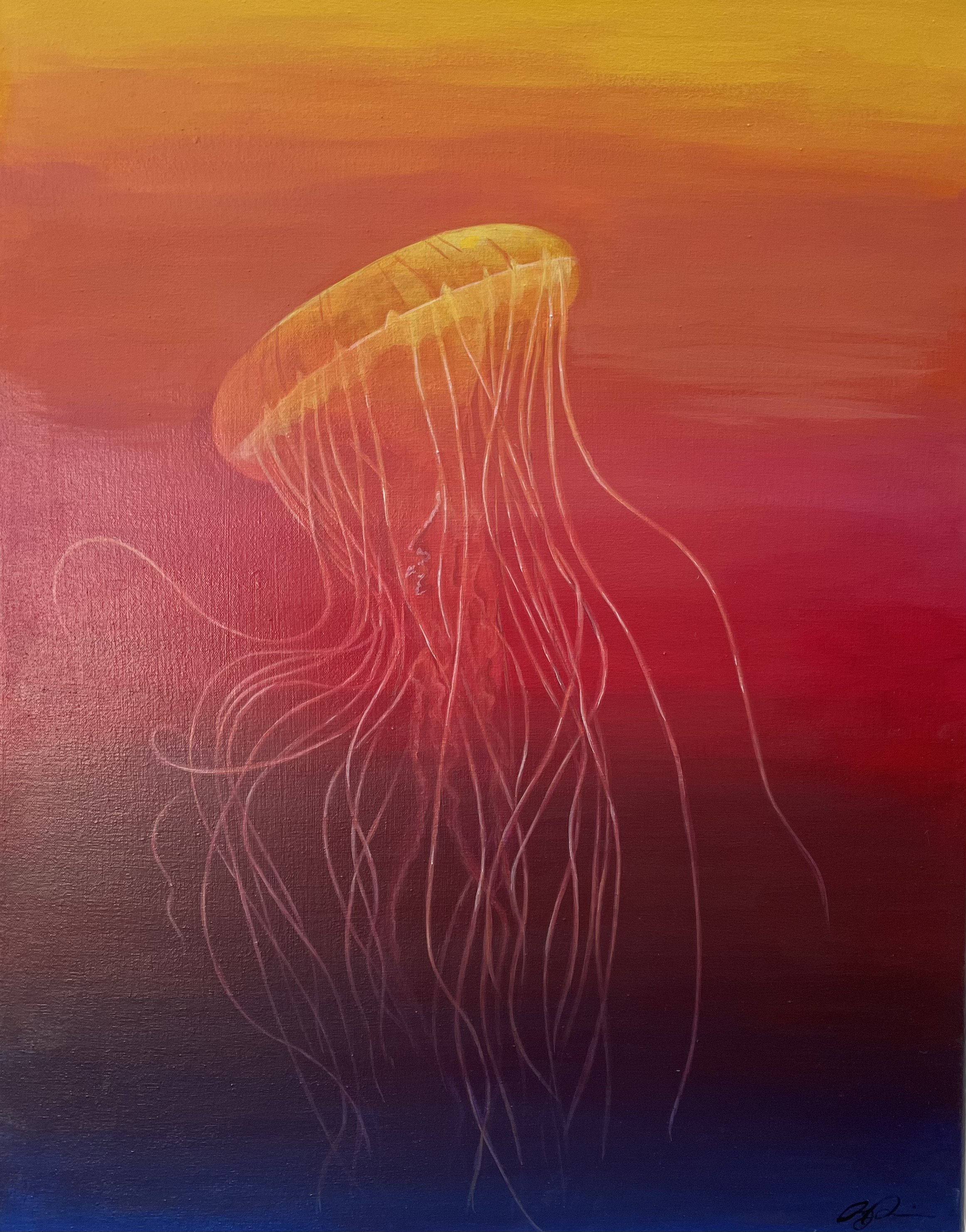Sunset Jellyfish 28x22%22 Acrylic on Canvas $1000.jpeg
