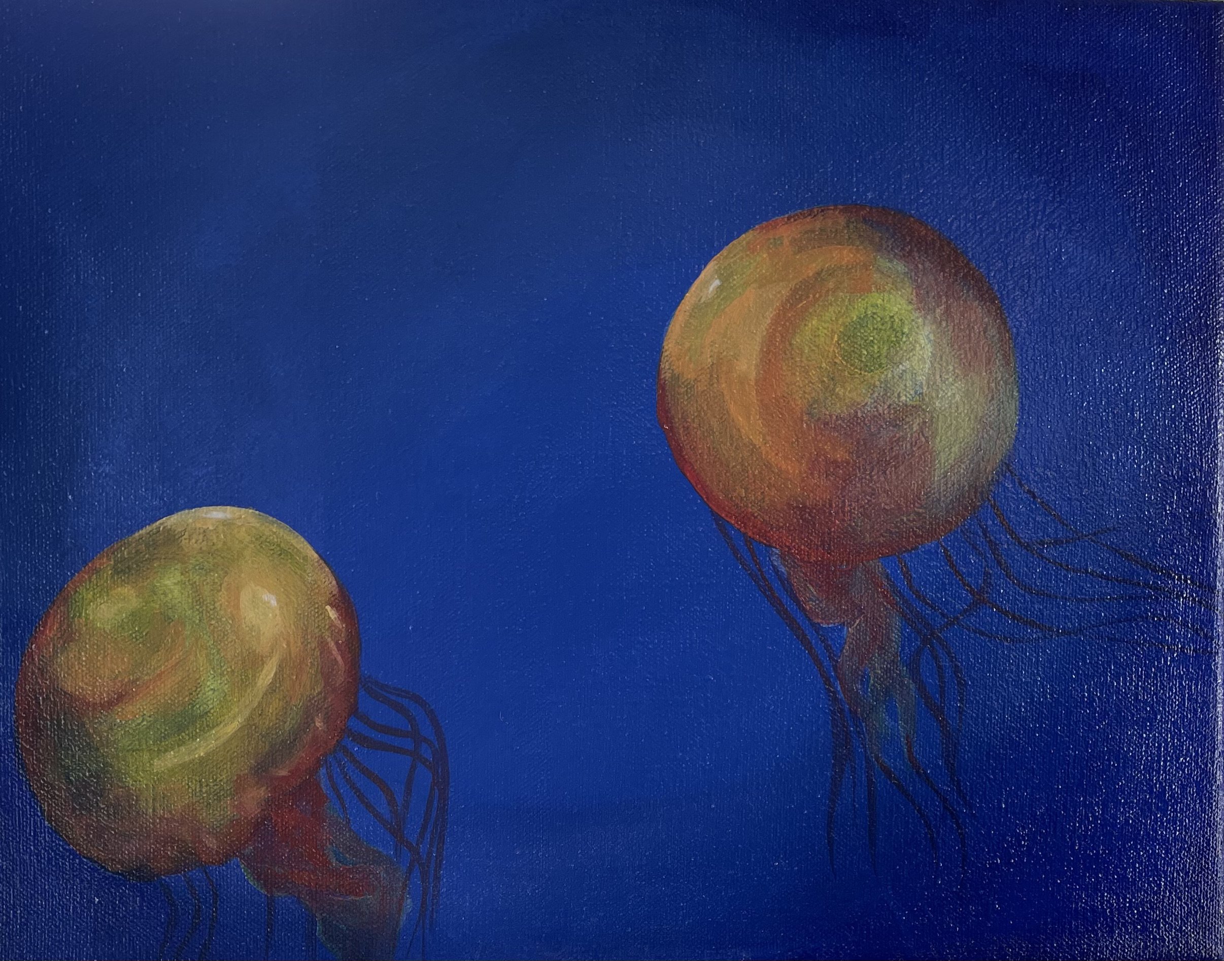 Primary Jellyfish 14x11%22 Acrylic on Canvas $300.jpeg