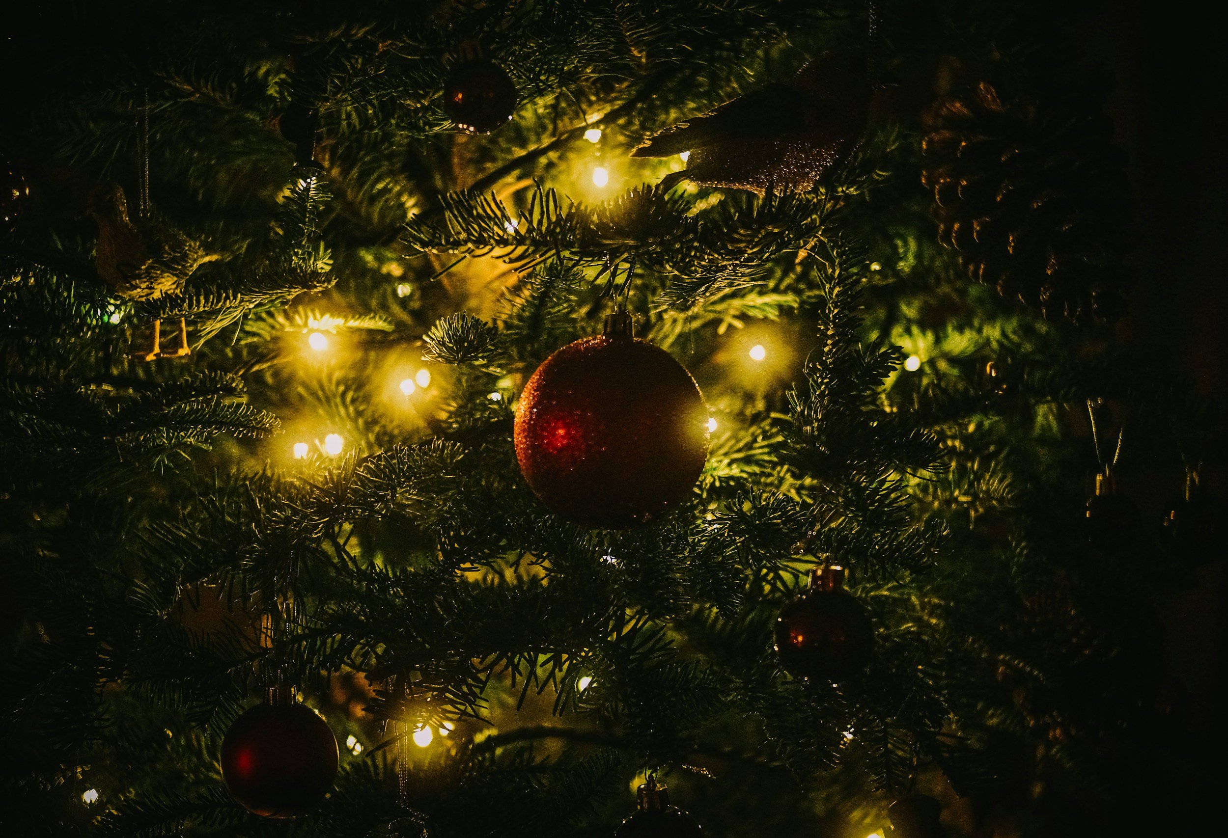 Caring for Your Heart and Mind Through the Holidays Holding Space for Grief, Stress, and Tender Emotions