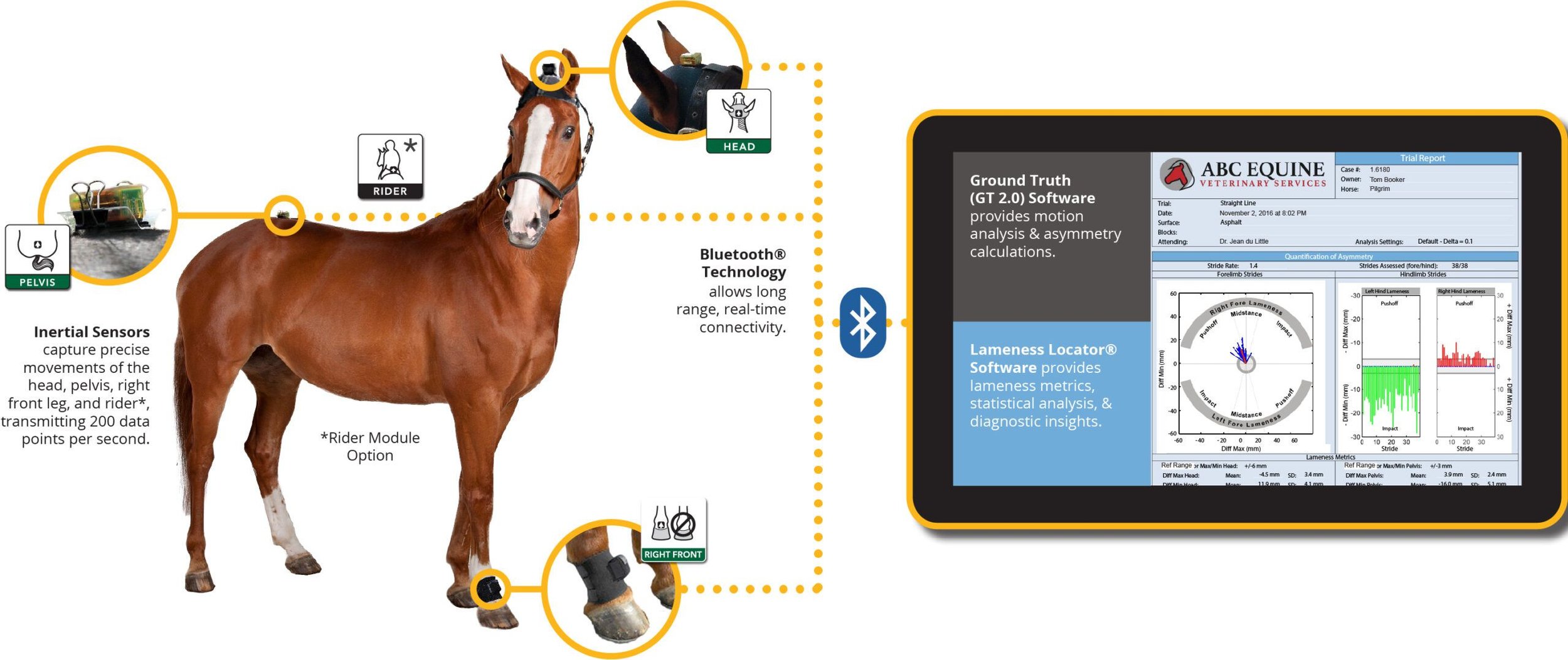 equinosis-Q-how-it-works-horse-with-tablet@4x-100-scaled-1.jpg
