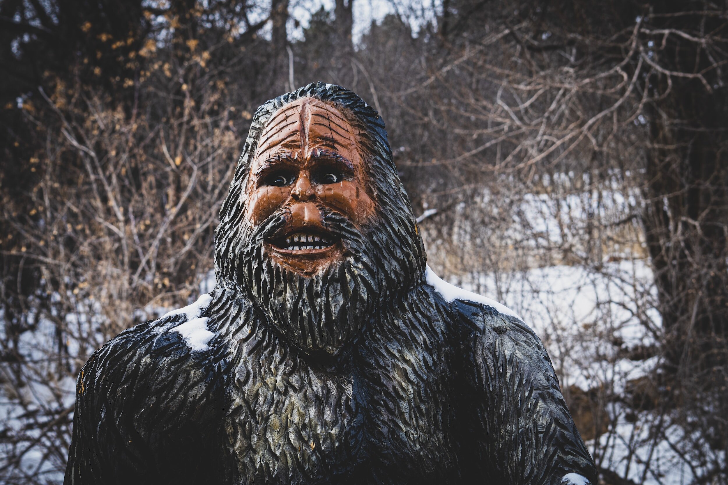 Don’t be a bigfoot!